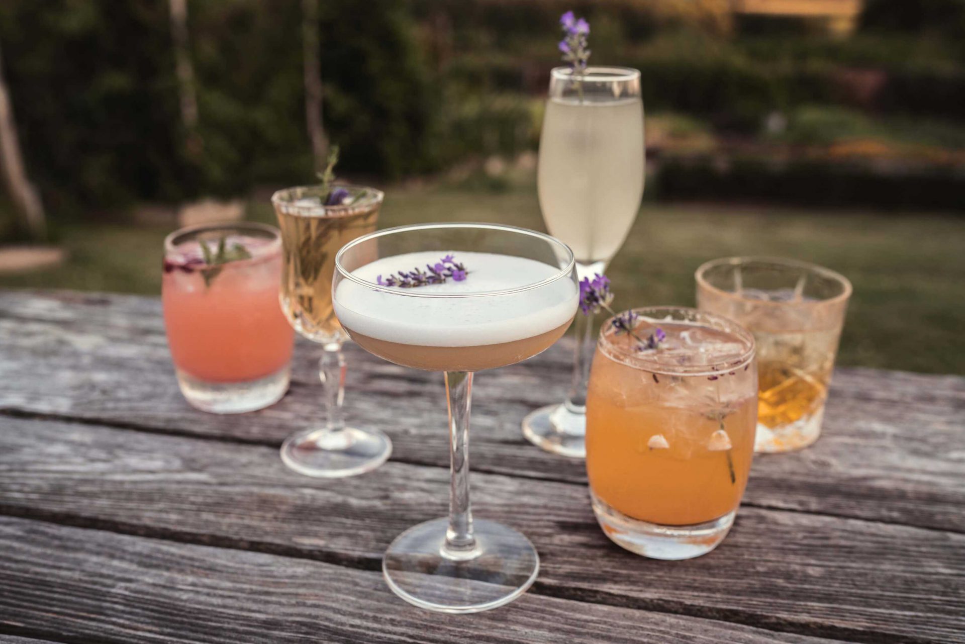 Cocktails on the lawn