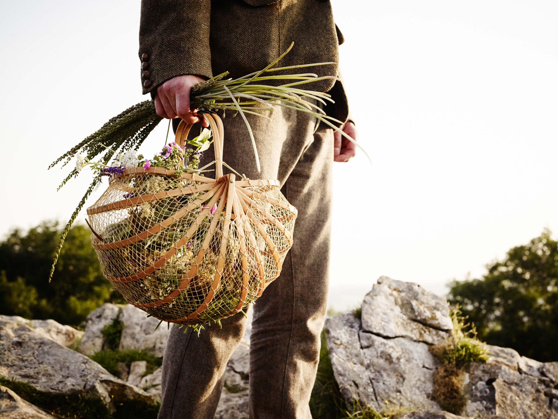 Foraging The Mendips